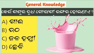 Quiz Competition || Intresting Gk Odia || IQ Test Quiz || General Knowledge || #Gk #Quiz 