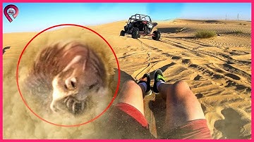 Bí Ẩn Kinh Hoàng Bên Dưới Lớp Cát Sa Mạc SAHARA Khiến Thế Giới Khiếp Sợ | Top 10 Huyền Bí