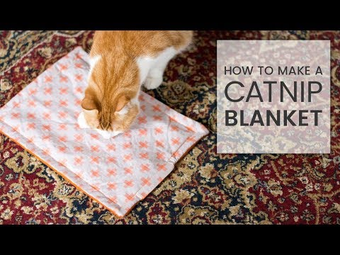 Catnip Blanket Refillable & PreFilled with Organic Catnip 15.5x14.5 Snuggly Feline Fun Cat Toy Pet Supplies Cat Birthday Cat Lover Gift Cat Mat