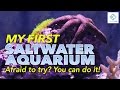 My First Saltwater Aquarium - Afraid To Try? You Can Do It!