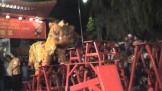 TITD HOO TONG BIO, a chinese cultural heritage event
