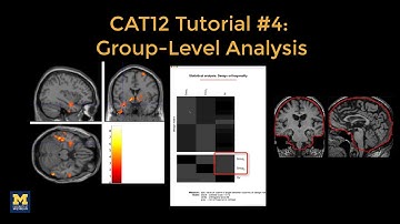 CAT12 #4: Group-Level Analysis