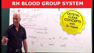Rh Blood Group System | Dr Najeeb
