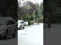 Surrey police shooting leaves man with serious injuries