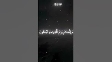 سوره المؤمنون اكتب شئ تؤجر عليه #السعودية #الحمد_لله #استغفر_الله