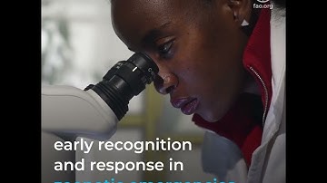 FAO-WUR: Science & Innovation for more efficient, inclusive, resilient, sustainable agrifood systems