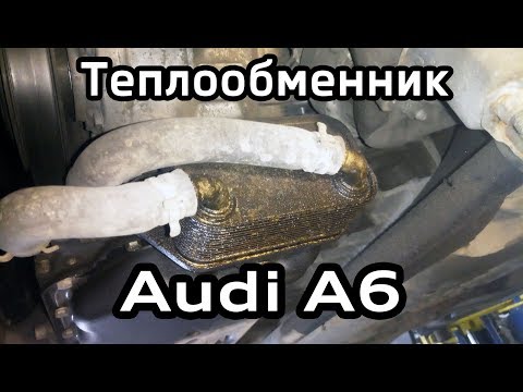 Audi A6 C6: Замена прокладки масляного радиатора, ТО 160т.км с заменой масла