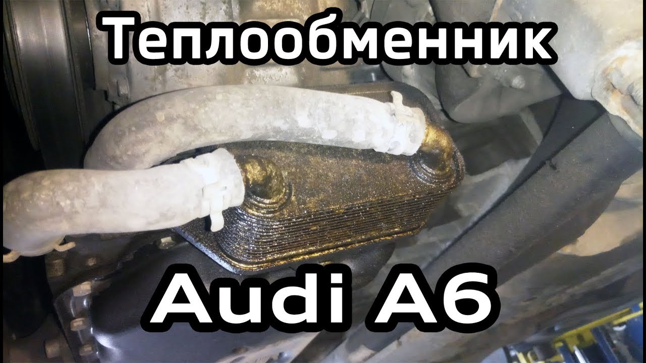 Audi A6 C6: Замена прокладки масляного радиатора, ТО 160т.км с заменой ...