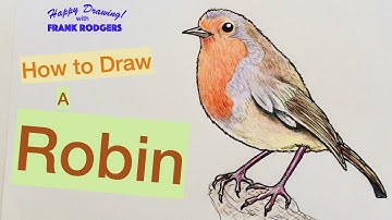 How to Draw a ROBIN. Sketching Birds No 5. Happy Drawing with Frank Rodgers