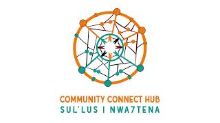 What is the Community Connect Innovation HUB all about?