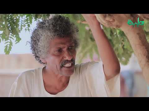 يوميات زول الحلقة 5 المعيارية