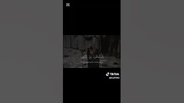 انشر القران الكريم واكتب يارب #المصحف #الرحمن #راحة_نفسية #اكسبلور #duet #nature #لايك #الظروف