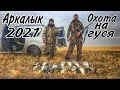 Охота на гуся в Казахстане Аркалык 2021/Две удачные утрянки!!!