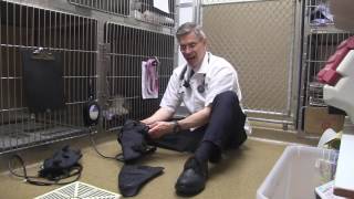 How Do You Perform Cold Compression Therapy