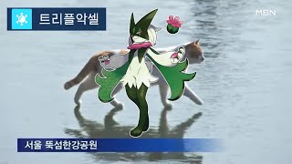 꽁꽁 얼어붙은 얼음을 고양이가 던집니다