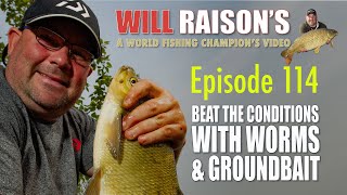 POLE Worms & Groundbait For Adverse Conditions  | Will Raison Fishing