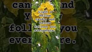 Divine Light, Fresh Beginnings, Personal Growth