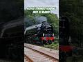 60163 Tornado heading into St. Blazey yard #tornado #A1Peppercorn #steamlocomotive