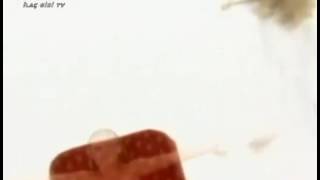 Güllü Ağlamam Ondan