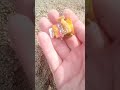 Encontre una  cosa