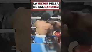 El Día que Salvador Sánchez Demostró que Era un Genio #SalvadorSanchez #Boxing #Combate
