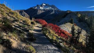 (4K UHD) HIKING Zigzag Canyon to Paradise @ Pacific Crest Trail | Timberline | Mount Hood Wilderness