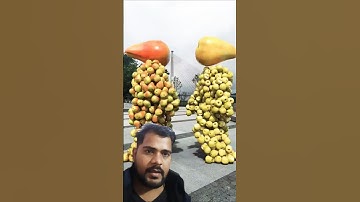 Fruit pair collision c4d animation special effects decompression. 2#funny #trending