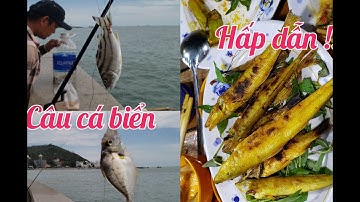 Câu cá biển Vũng Tàu - Điểm câu đẹp và kiểu dính cá độc lạ l Nghiệp Vũng Tàu Vlog #9