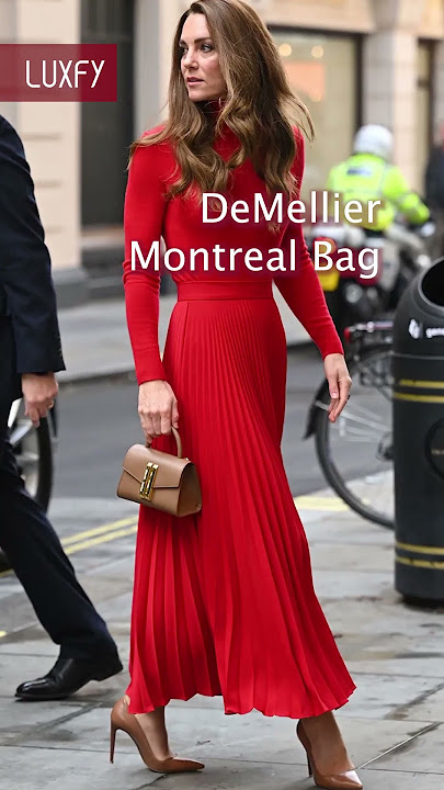 Gabrielle MOYNAT Mini Bag In Carat Calfskin at 1stDibs