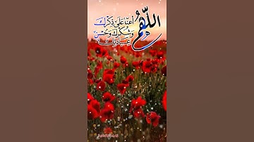 قل الحمد لله 💛🥀!َ''))اجمل حالات واتس اب قران كريم بصوت جميل جدا