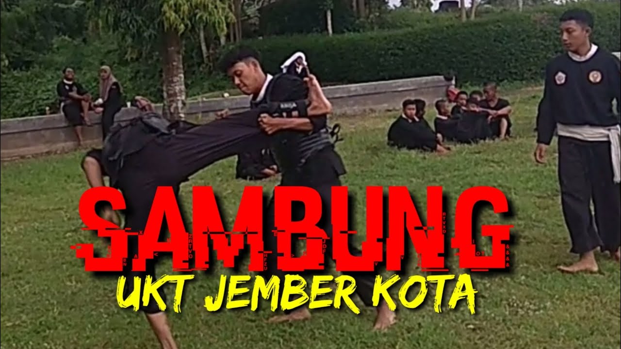 Sambung || UKT Perguruan PSCP Jember Kota