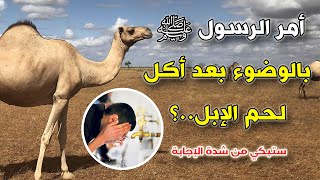 لماذا أمر الرسول ﷺ بالوضوء بعد أكـل لـحم الإبل..؟ سبحان الله .. ستبكي من شدة الإجابة