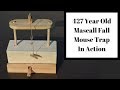 427 Year Old Mascall Style Fall Mouse Trap In Action.