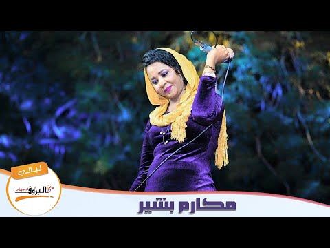 زاهي اللون مكارم بشير ليالي البروف