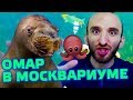 Омар ищет омаров в Москвариуме // Омар в большом городе