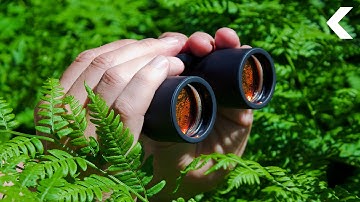 Scientists Are Corrupting Their Own Experiments, Here