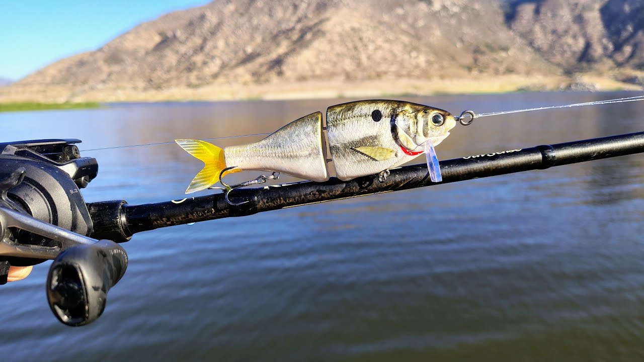 Fishing The Bent Baitz Mini Wake Big Bass Contest
