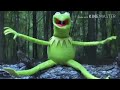 KERMIT DOES THE ICE BUCKET CHALLENGE KERMIT DOES THE ICE BUCKET CHALLENGE
