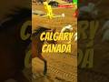#canadaimmigration #canadavisa #canadastudyvisa #canadavlogs