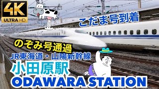 【電車】こだまとひかりが停車する小田原駅＠JR東海道・山陽新幹線