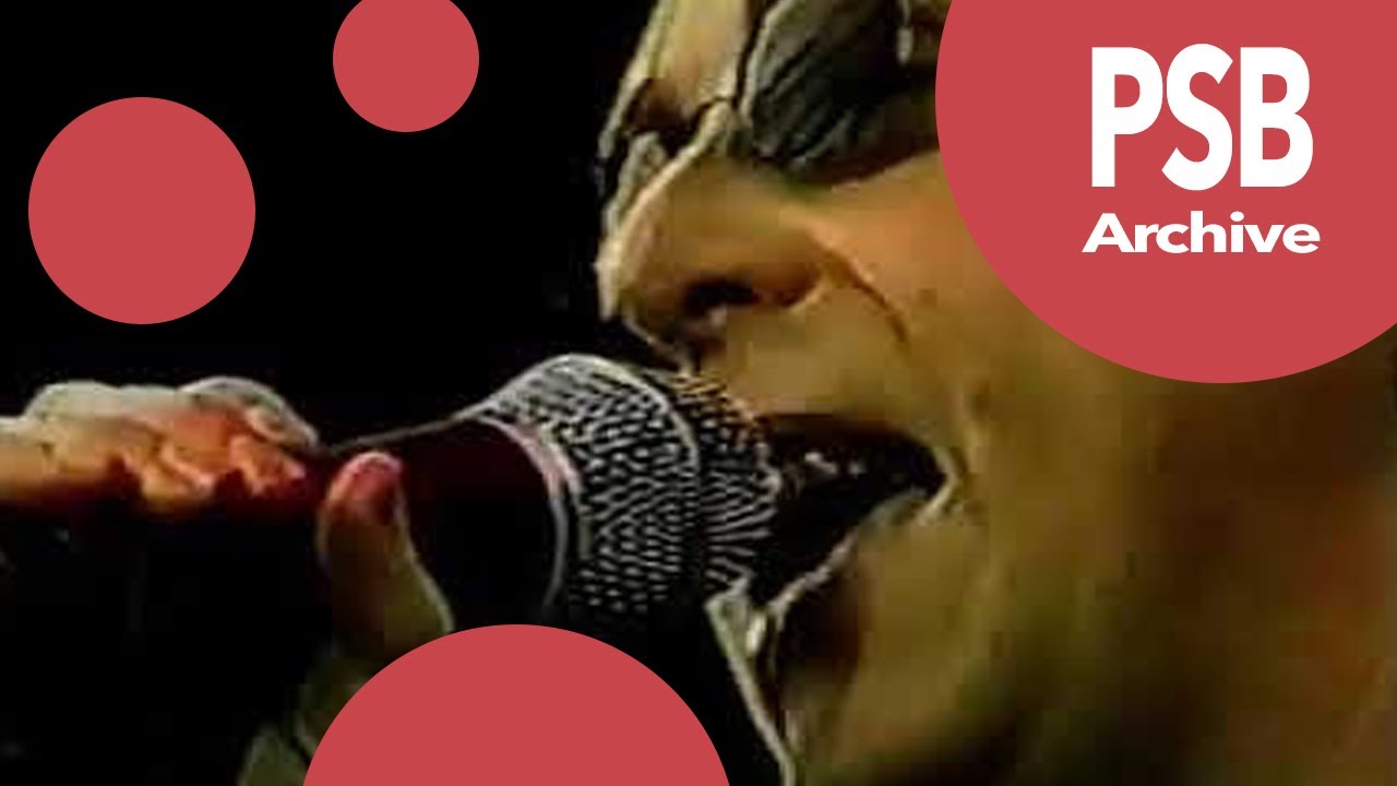 Pet Shop Boys Party In The Park 1999 Westend Girls IDK Go West pet-shop-boys-party-in-the-park-1999-westend-girls-idk-go-west