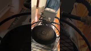 #pestcontrol #bedbugtreatment #home #exterminator