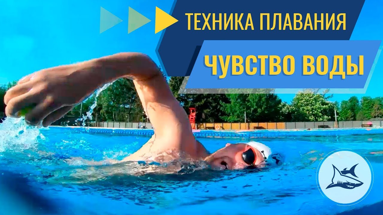 Как научиться плавать кролем? Чувство воды - YouTube