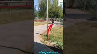 Дорога от метро до клиники