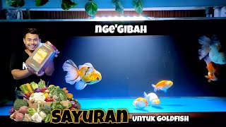 SAYURAN APA AJAH YANG BAIK UNTUK IKAN MAS KOKI - GOLDFISH VEGETARIAN, WHY NOT ❓- PAKAN IKAN MAS KOKI