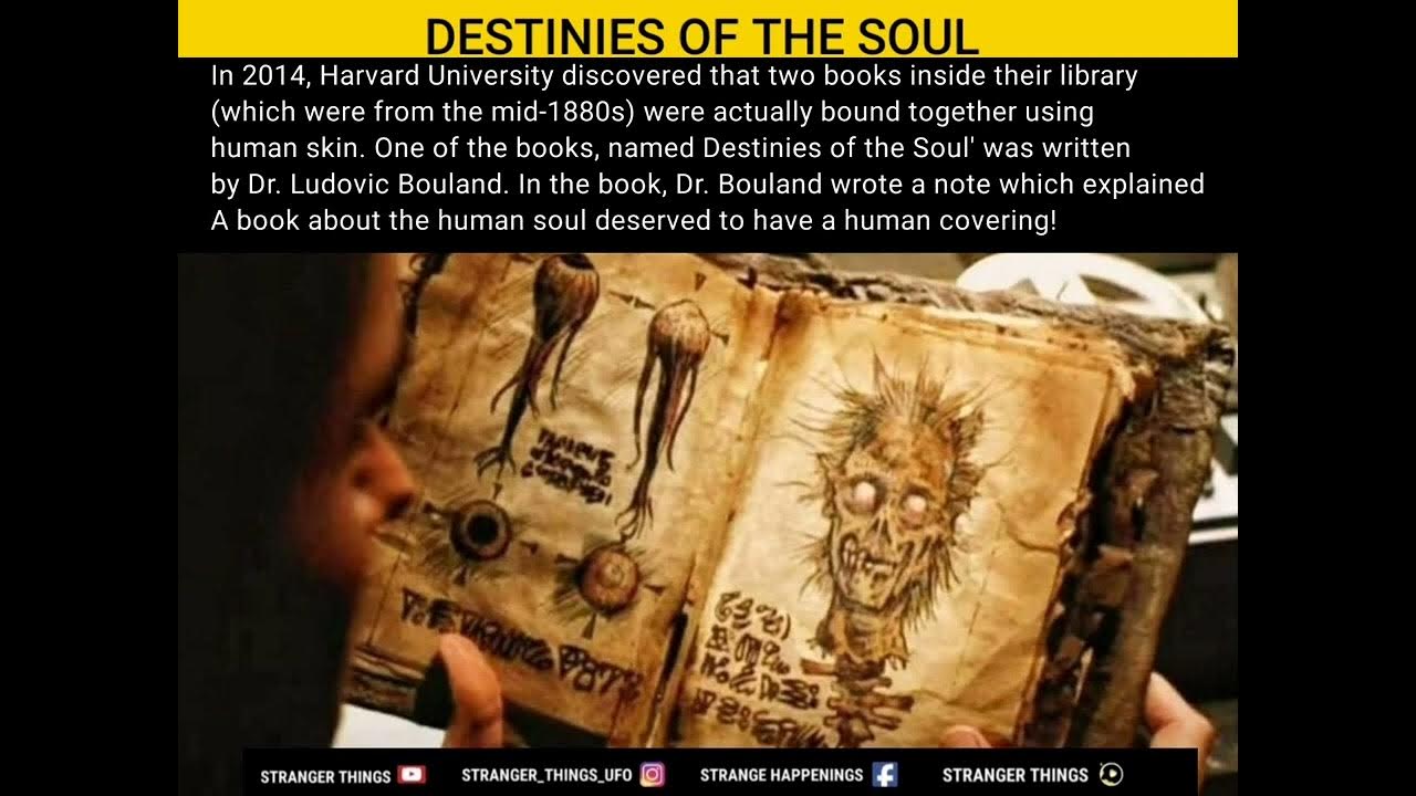 DESTINIES OF THE SOUL PARANORMAL YouTube