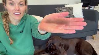 Honest review after using on my Lab - FURminator Undercoat Deshedding Tool for Dogs