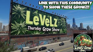 Growing Craft Cannabis on the LeVeLz Grow & Show!! Link up with this Community & Share your Gardens!