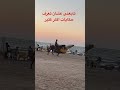 جربت تعوم الحصان بور سعيد القاهرة جربت تعوم الحصان بور سعيد القاهرة