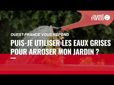 Vidéo: Qu'est-ce que les eaux grises ? En savoir plus sur l'arrosage des plantes avec les eaux grises